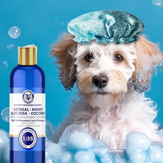 Oatmeal Aloe Honey Coconut Concentrated Shampoo - Natural Scent, Foams & Rinses Easily, 16 Oz Oatmeal Dog Shampoo for Itchy Skin, Makes 4 Gallons