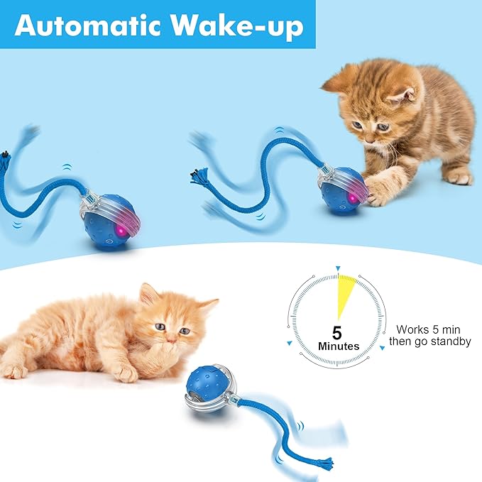 Cat Toys Ball for Indoor Cats - Interactive Automatic Cat Ball Toy | Fast Rolling & Motion Activated Chirping | Hide and Seek Mouse Catching Game | Stimulates Hunting Instincts (Blue)