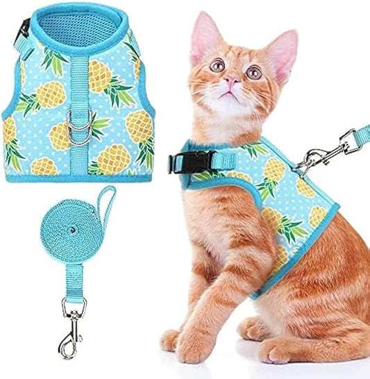 BINGPET Cat Harness - with Leash Included - Mesh Cat Dog Walking Harness Adjustable Harness for Kitties Puppy Harness Adjustable Cat Vest Harness Small Pineapple