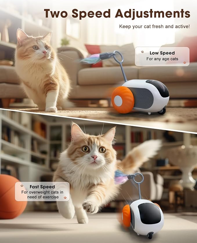 Cat Toys for Indoor Cats, Smart Interactive Cat Toy with Two-Speed Adjustment, Remote Control USB Rechargeable Automatic Cat Exercise Toys for Bored Indoor Adult Cats Kittens (Orange)
