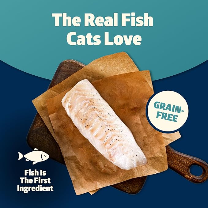 Blue Buffalo Freedom Grain-Free Adult Dry Cat Food, Complete & Balanced Nutrition for Indoor Cats, Made with Natural Ingredients, Fish Recipe, 5-lb. Bag