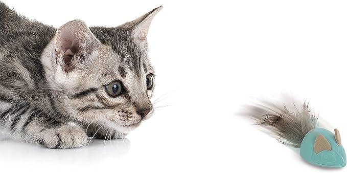 Petlinks Marble Mayhem Rolling Marble Racoon Cat Toy - Teal, One Size