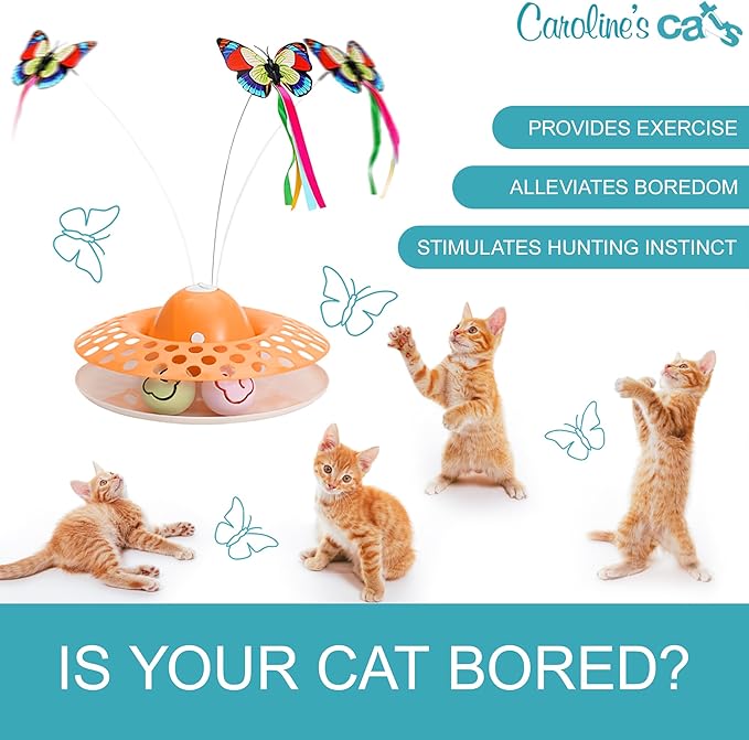 Caroline's Cats Automatic Butterfly Cat Toy – Interactive 2 in 1 with Auto Shut Off & Catnip Ball Track; Recommended Electric Exercise & Enrichment Game