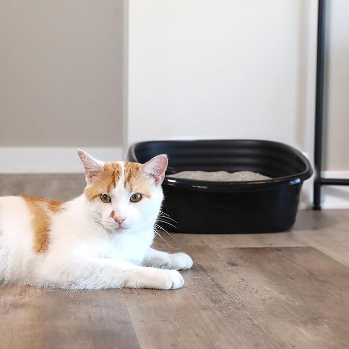 Arm & Hammer Simply Recycled Cat Litter Pan, Jumbo, Easy to Scoop and Clean, Sturdy, Black, Made in USA