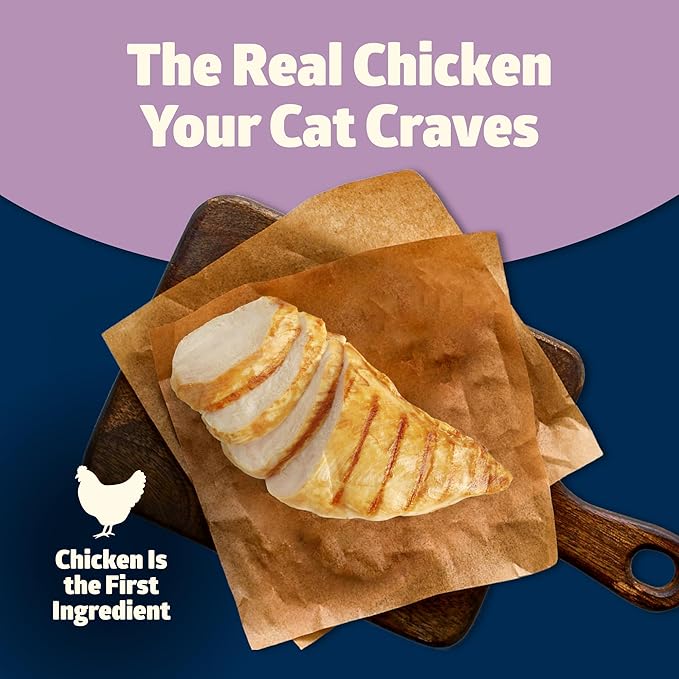 Blue Buffalo Freedom Grain-Free Kitten Wet Cat Food, Complete & Balanced Nutrition for Kittens, Made with Natural Ingredients, Chicken Recipe, 3-oz. Cans (24 Count)