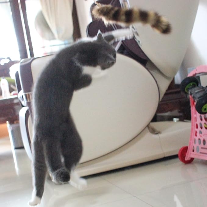 Fosrion Real Raccoon Tail Fur Cat Bites Toy with Three Section Retractable Carbon Fiber Rod (Raccoon, Only Tail)