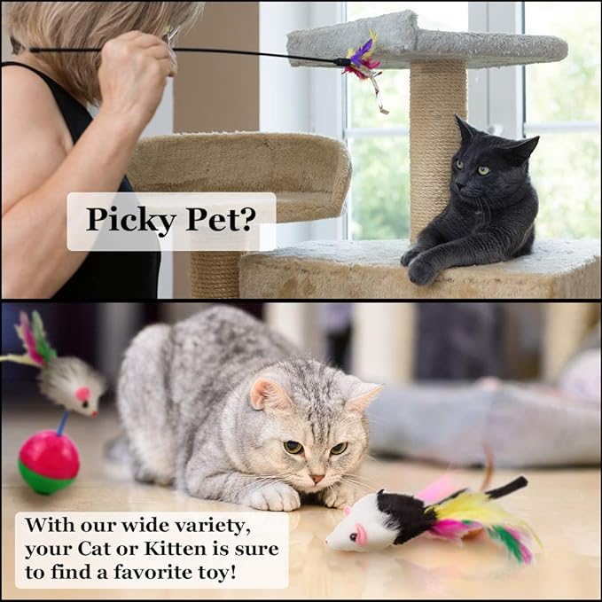 CoCoo Ferret & Cat Toy Variety Pack, Activity Set of Mylar Balls, Chew Toys, Catnip Pouches, Play Mice & Bells, Great for Persians, Maine Coons, Calicos & Tabby Cats, 20 Pcs