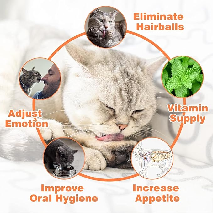 Catnip Ball for Cats Wall, 4 Pack Catnip Toys, Silvervine Balls, Edible Kitty Toys for Cats Lick, Safe Healthy Kitten Chew Toys, Teeth Cleaning Dental Cat Toys, Cat Wall Treats (White)