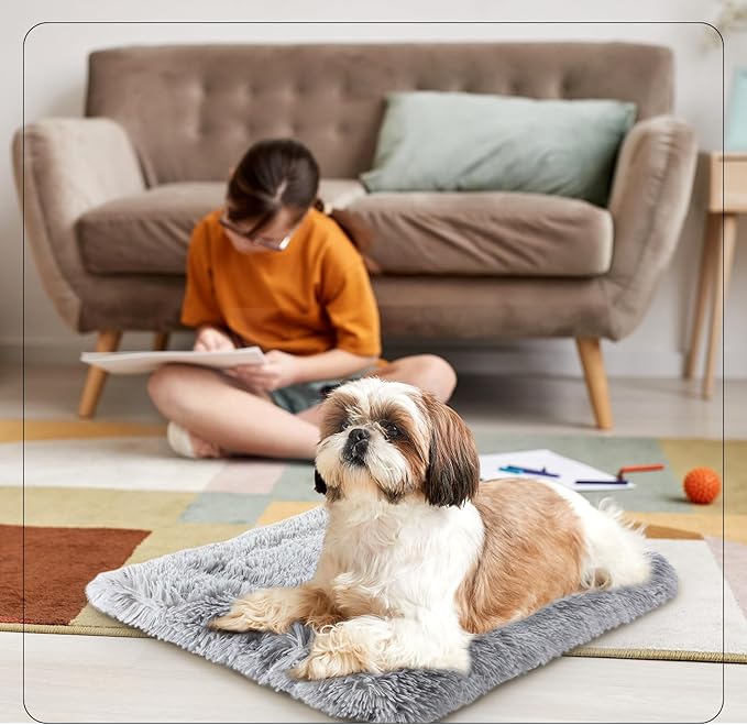 2 Pcs Cat Beds Small Dog Bed, Self Warming Cat Dog Mat Washable Warm Fluffy Pet Pad Calming Cushion Soft Kitty Bed for Indoor Outdoor Crate Pets Cat Small Dog Sleeping, 24 x 20 Inch (Gray)