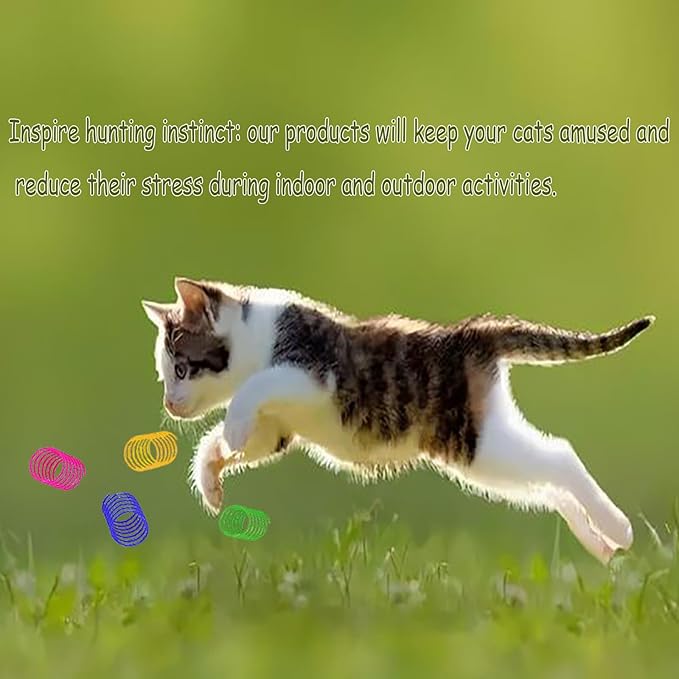 BenePoint Cat Spring Toys, Interactive Cat Toy for Swatting, Hunting,and Grinding Teeth, Durable Cat Springs for Indoor Cats to Promote Agility& Keep Fit, Plastic Cat Coil to Relieves Stress (16pcs)