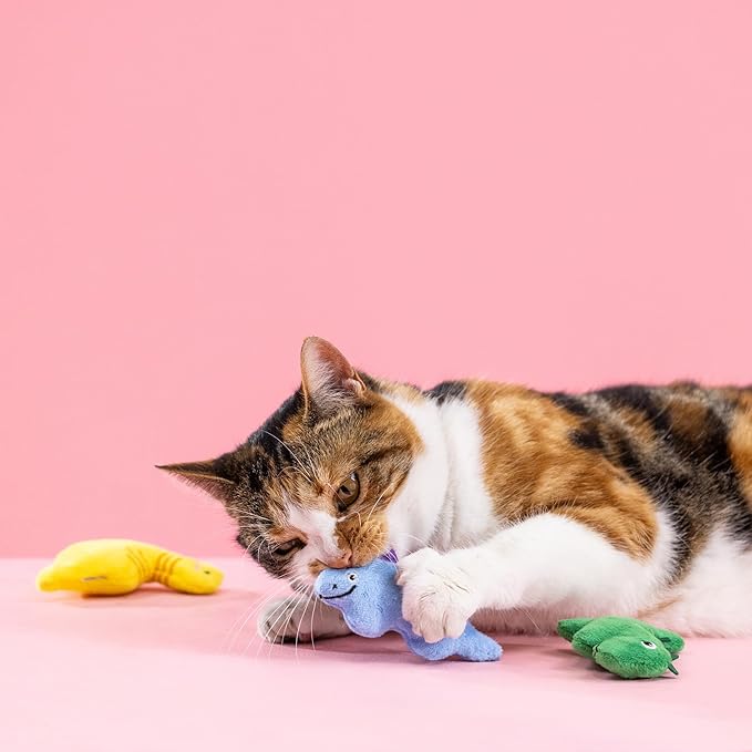 Fringe Studio Plush Cat Toy Set, Rawr-Some Crew, Mini 3 Piece Set, Pet Shop Collection (904036)