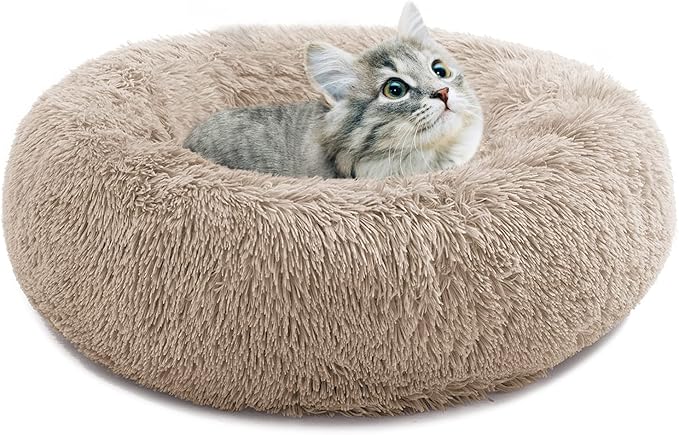 Small Cat Bed for Indoor Cats, Self-Warming Donut Kitty Bed for Small Cats Keeping Warm, Washable Pet Bed with Anti Slip Base, Khaki 20‘’