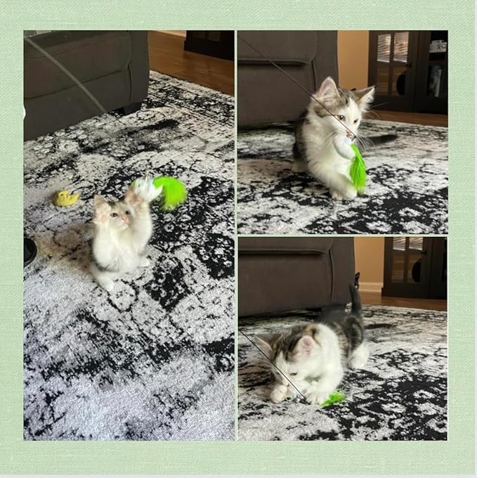 MYSWEETPET Bird cat Toy, cat Toys, cat Toy, Interactive cat Toy, Hanging cat Toy, cat Toys Interactive, Moving cat Toy, Interactive Kitten Toys, Toys for Cats,cat Toy with Feathers