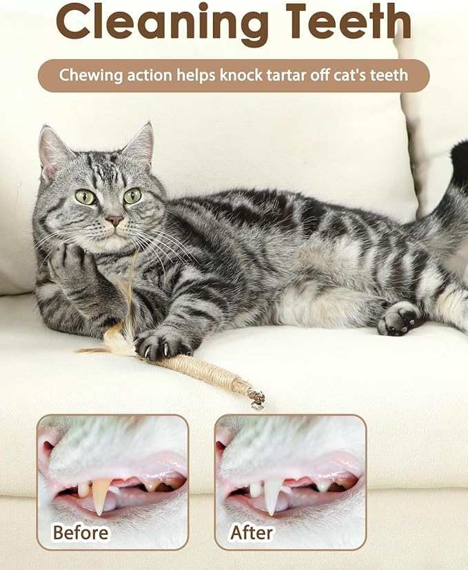 Tocirelo Kitten Teething Toys for Indoor Cats - 6Pack Silvervine Sticks Cat Enrichment Toys, Matatabi Cat Feather Toys with Bell, Cat Teeth Cleaning Treats, Cat Chew Sticks