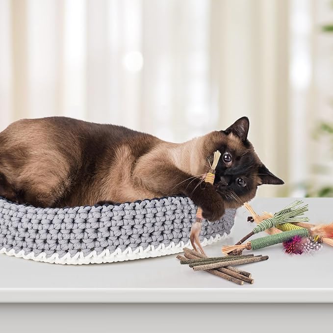 Bissap 16 PCS Silvervine Chew Sticks for Cats, Catnip Chew Sticks Cat Toys for Indoor Cat Kitten Teeth Grinding Interactive Feather Toys for Aggressive Chewers Dental Care