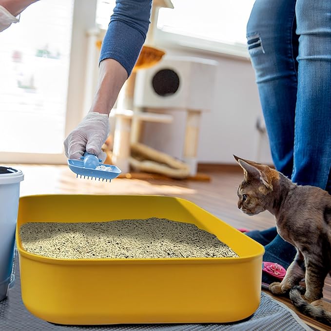 5PCS Small Litter Box, Plastic Kitten Litter Box, 13.9 x 9.8 x 3 Inch Open Litter Box for Small Pet, Easy to Clean (5 Color)