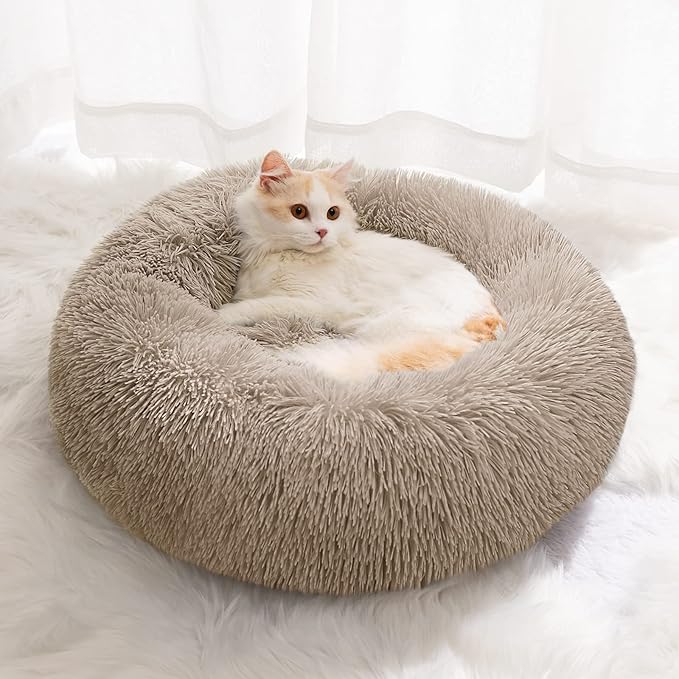 Small Cat Bed for Indoor Cats, Self-Warming Donut Kitty Bed for Small Cats Keeping Warm, Washable Pet Bed with Anti Slip Base, Khaki 20‘’