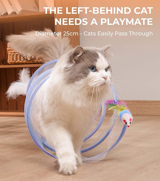 Cat Tunnel - Interactive S Type Folded Spring Toy, for Indoor Cats,Kitties, Rabbit and Small Puppy, Blue