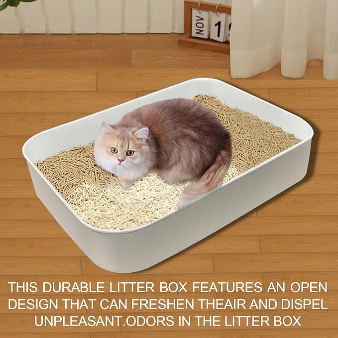 5 Pcs Small Litter Box,13.9 x 9.8 x 3 Inch Plastic Kitten Litter Pan, Low Entry Waterproof Open Cat Litter Box Travel Toilet for Small Pet Kitty Bunny Guinea Pig, Easy to Clean, Multicolor