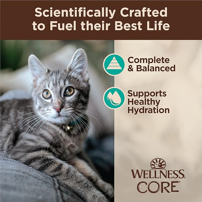 Wellness CORE Tiny Tasters Wet Cat Food, Complete & Balanced Natural Pet Food, Made with Real Meat, 1.75-Ounce Pouch, 12 Pack (Adult Cat, Flaked Tuna & Salmon in Gravy)