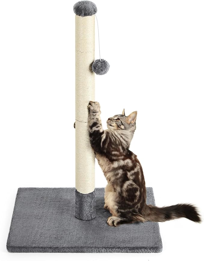 32" Tall Scratching Posts for Indoor Cats Adults Cat Scratchers with Interactive Hanging Toy Ball Cat Scratch Furniture Protector Scratcher Post with Stable Heavy Base, Dark Grey