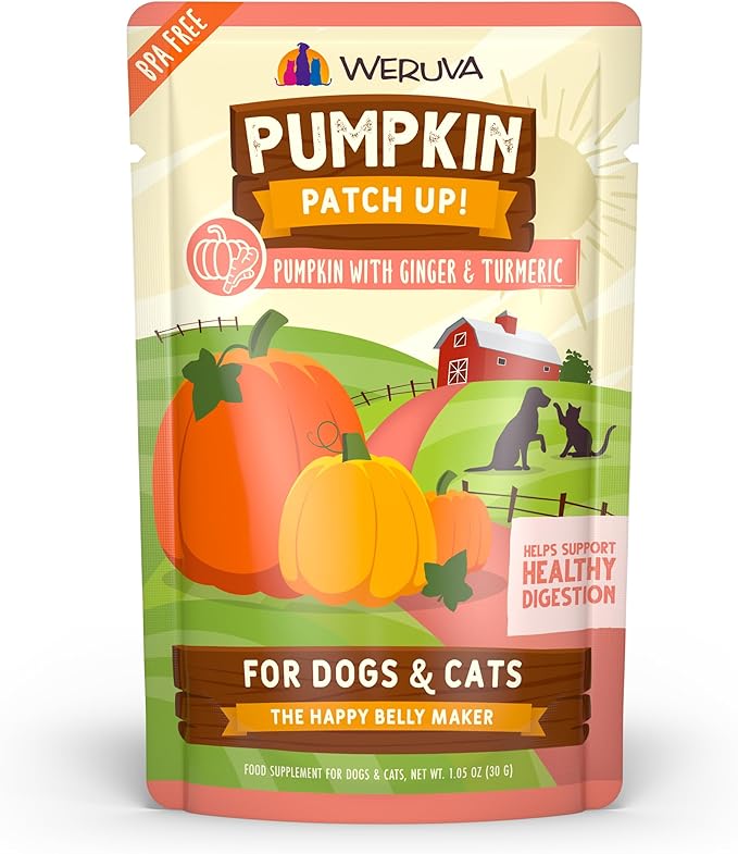 Weruva Pumpkin Patch Up! Pumpkin with Ginger & Turmeric for Dogs & Cats, 1.05oz Pouch (Pack of 12)