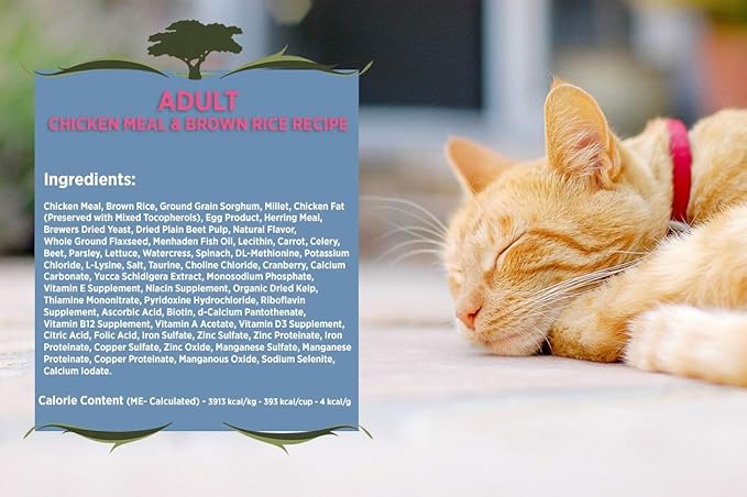 Blackwood Pet Cat Food Made In USA [Super Premium Dry Cat Food For Adult, Indoor, and Senior Cats], Chicken Meal and Brown Rice Recipe