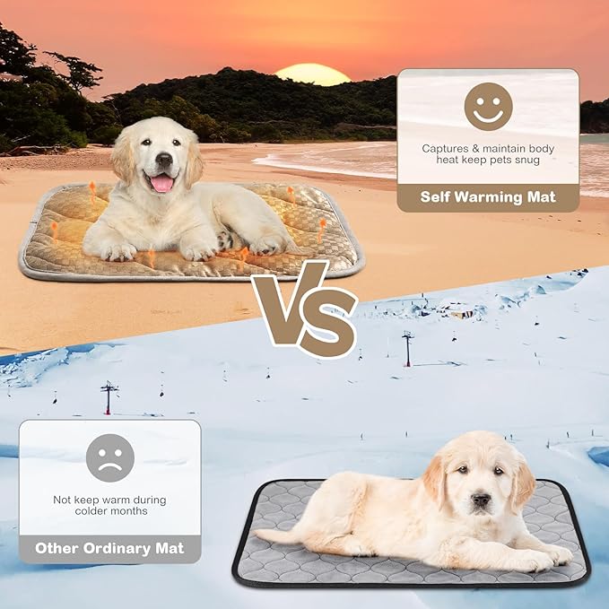 4 Pack Self Warming Cat Bed 16 x 20 Self Heating Cat Mat Warm Thermal Pet Pad Washable Dog Crate Pad Body Heat Dog Cat Bed Mat Blanket Non Slip Bottom for Outdoor Indoor Pets(Camel)