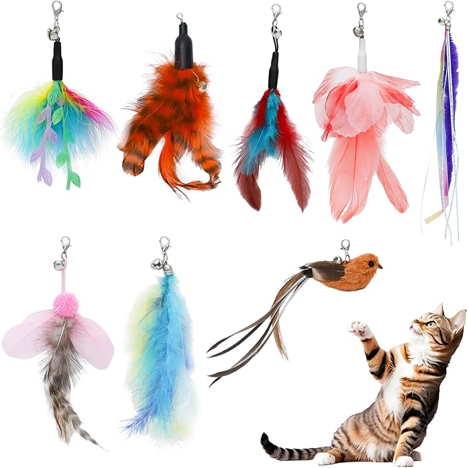 8 Pieces Cat Feather Toys Replacement Cat Toy Wand Refills Cat Toy Replacement Natural Bird Feathers for Cat Toys