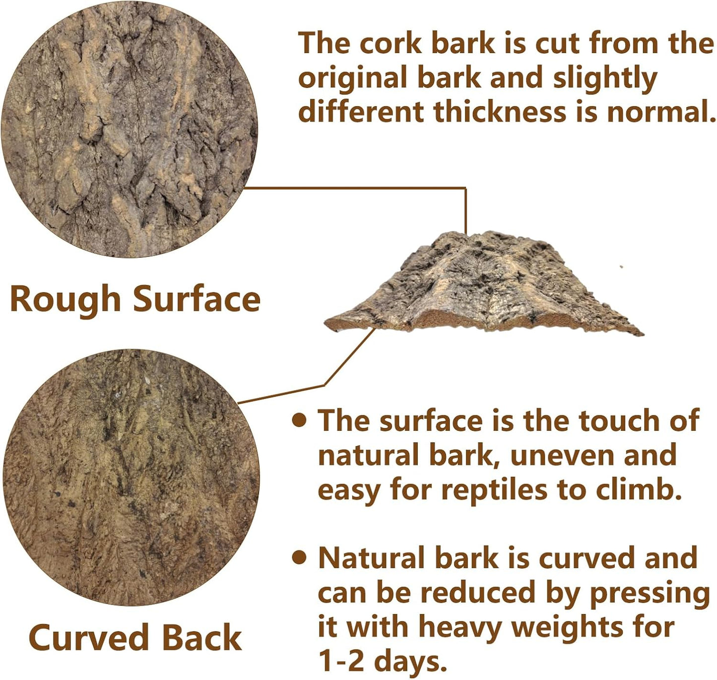 Tfwadmx 2Pcs Cork Terrarium Background 11.8”x7.9” Natural Cork Bark Backdrop Reptile Background Climbing Wall Terrarium Accessories for Lizard,Tortoise,Gecko,Bearded Dragon,Chameleon