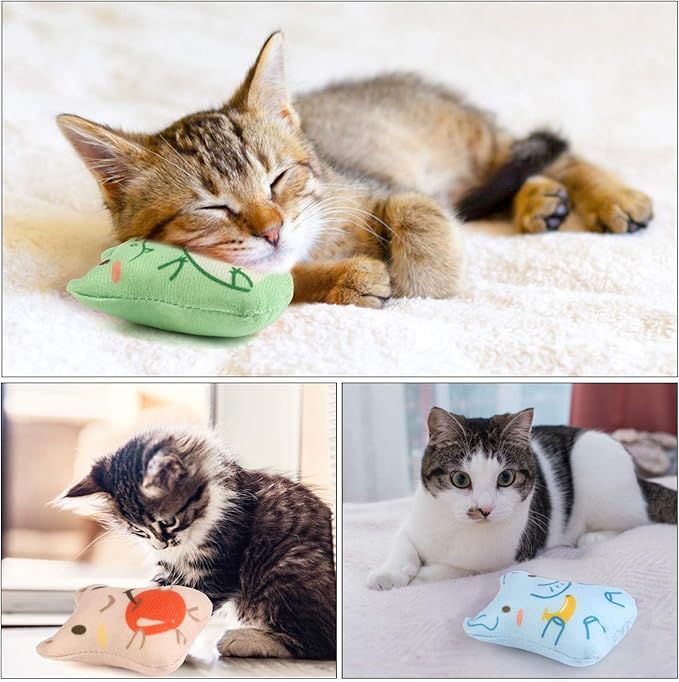 Dorakitten Catnip Toys for Indoor Cats - 5PCS Plush Cat Chew Toys Teething Interactive Catnip Filled Kitten Toy Soft Pet Toy (Animal Shapes)