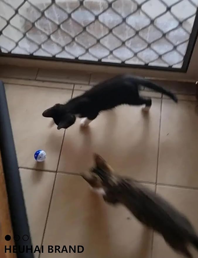 Cat Toys for Indoor Kittens Plastic Balls with Bells 10 Assorted Colors Ideal for Playtime Hunting Instinct Stimulation and Daily Exercise