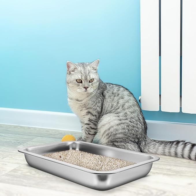 Balacoo Stainless Steel Cat Litter Box- Low Entry Litter Box for Small Cats Hamster Rabbits, Small Open Nonstick Metal Kitten Litter Tray, 31.50X21.50X4.50CM, Silver