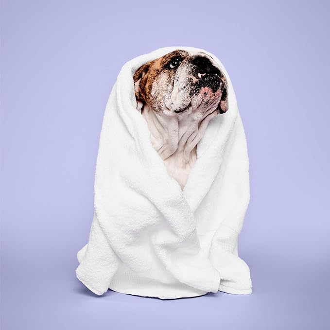 Calming Lavender Mint Shampoo, Botanical-Infused,16.9 fl.oz.