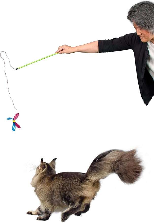 RompiCatz Rustlin' Mylar Teaser String Wand and Interactive Cat Toy, Winged Bug