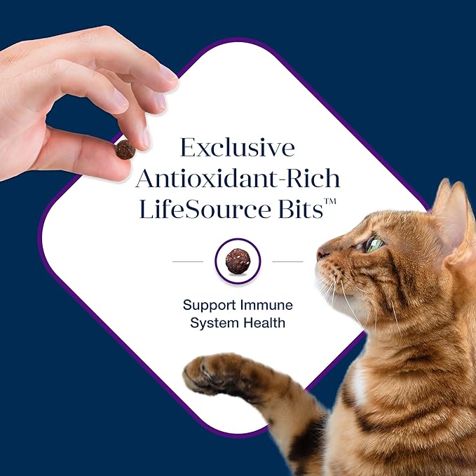 Blue Buffalo Basics Grain-Free Dry Cat Food, Skin & Stomach Care, Limited Ingredient Diet for Indoor Cats, Turkey & Potato Recipe, 11-lb. Bag