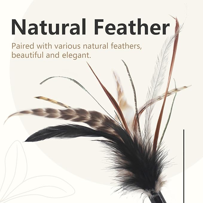SONGWAY Cat Feather Wand Toy - Cat Teaser Toy Wand with 4 Pcs Flexible Spring Cat Feather Refillls, Interactive Cat Feather Toys for Indoor Cat and Kitten