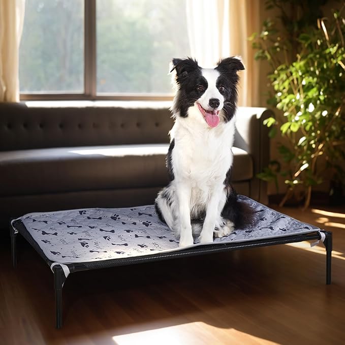 Forher Assemblable Metal Frame Puppy Elevated Dog Bed, Portable Dog Bed, Easy to Clean, Breathable mesh, Puppy cat Bed, Indoor and Outdoor use, Travel, Camping，pet Bed Off The Ground,XL-Black…