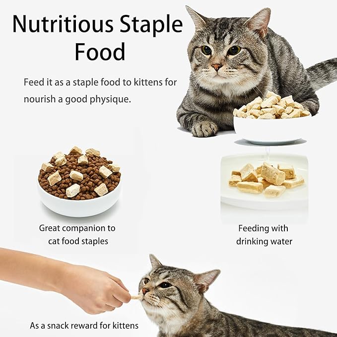 Bintangor Freeze Dried Cat Treats; Dry Cat Food Premium, Healthy, High Protein Instinct Cat Food- Beef Flavor, 170g Bag