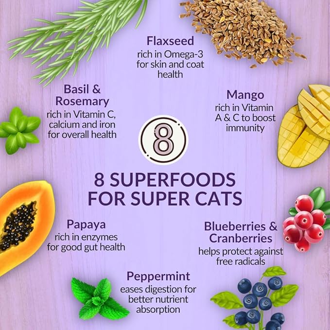 Wishbone Ocean New Zealand King Salmon, Gluten Free, Premium Salmon Recipe Cat Food for Overall Pet Health - 4 lb