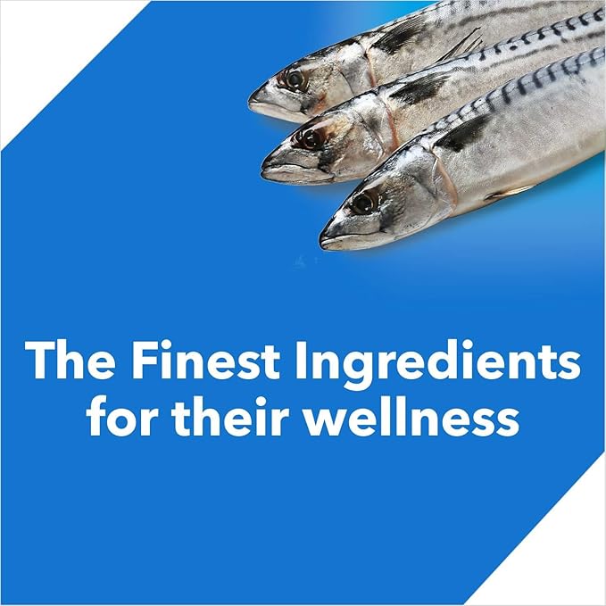 Adult(+1 Year) Dry Cat Food, Ocean Fish, 3 kg + 1.2 kg Free