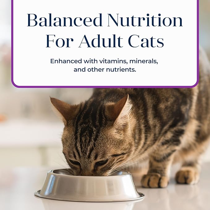 Blue Buffalo Basics Grain-Free Adult Wet Dog Food, Skin & Stomach Care, Limited Ingredient Diet, Turkey Recipe, 3-oz Can, 24 Count