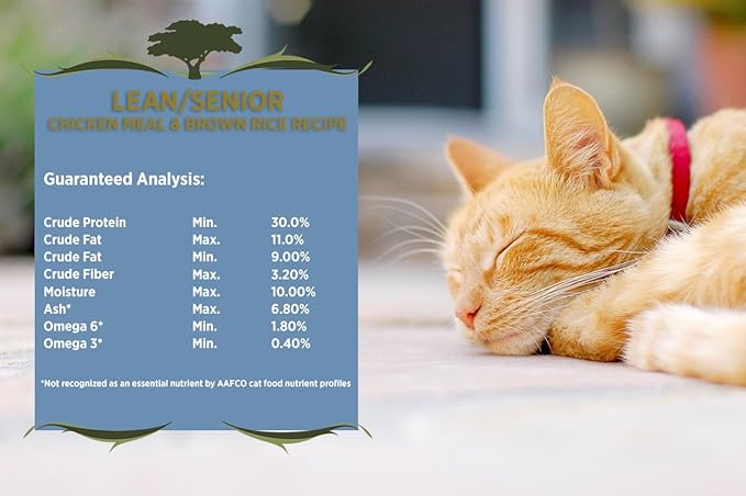 Blackwood Pet Cat Food Made In USA [Super Premium Dry Cat Food For Adult, Indoor, and Senior Cats], Chicken Meal and Brown Rice Recipe 4-Pound