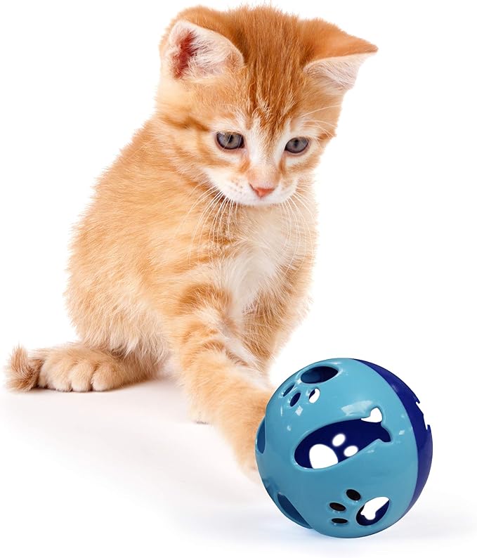 Pets First Large Size Cat Ball with Bell Toy for Cats Kittens and Other Animals - Hours of Play for Pets, Large Size for Extra Fun, Rings As It Moves