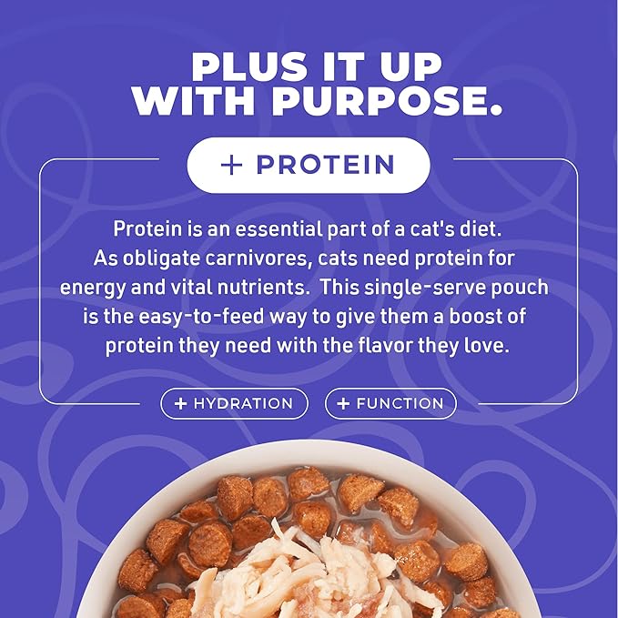 Tiki Cat Born Carnivore Complements Wet Cat Food Topper, Chicken & Egg 2.1 oz. Pouch (12 Count)