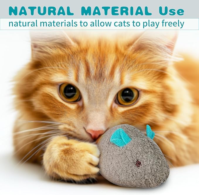Cat Toy Interactive Toy Plush Kittens Kitty Mouse Shaped Toy, Cat Chew Toy Indoor.