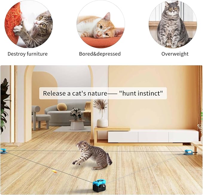 AsFrost Upgraded Interactive Cat Toy for Indoor Cats, Cat Feather Toy Treadmill for Bored Kitten Puppy Play Chase Run Exercise Mental Stimulation, Auto/Manual Control DIY Mouse Hunting Toy-Sky Blue