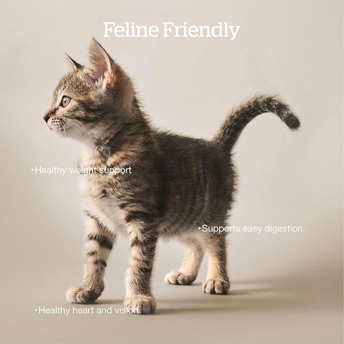 Now Fresh Grain-Free, Dry Cat Food, Turkey, Salmon and Duck Kibble, Real Meat and Fish Adult Recipe, 16 lb Bag