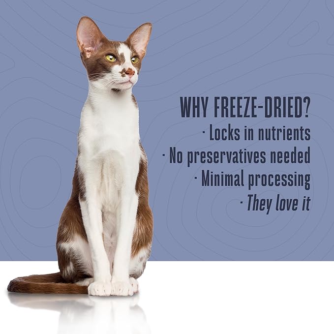 Whole Life Pet Freeze Dried Cat Food - Human-Grade Wet Cat Food Toppers, Natural Broth for Cats, Instantly Hydrating Cat Snacks, Lickable Cat Treats, Just Add Water - Shredded Tuna, 3 Oz