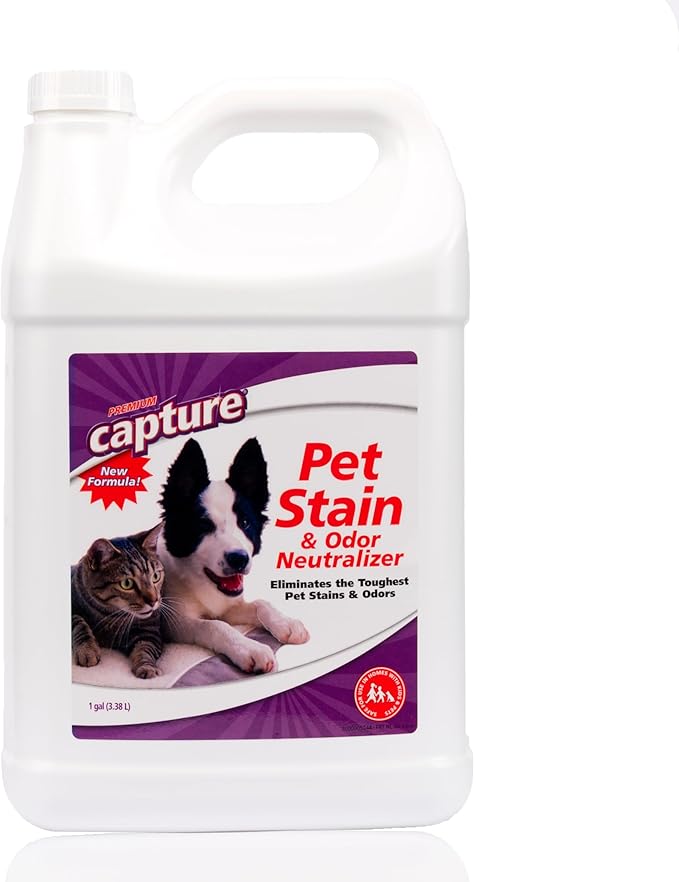 Capture Pet Stain & Odor Remover - Enzyme Pet Odor Eliminator for Home, Carpet Stain Remover for Cats & Dog Pee, Cat Urine Destroyer, Carpet Cleaner Spray - 1 Gallon Bottle
